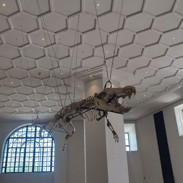A Journey Through Nature: National Museum of Natural History 