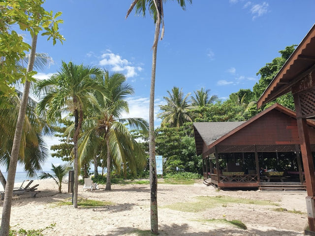 🐠 SIPADAN ISLAND: Where the Ocean Floor Drops & Jaw-Dropping Begins! 🌊