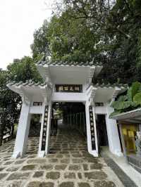 承天禪寺步道走向桐花公園賞油桐花