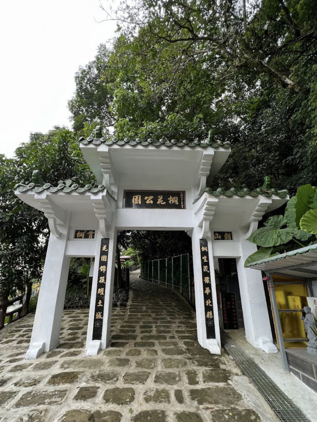 承天禪寺步道走向桐花公園賞油桐花