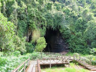 Gomantong Caves – The Wild, Otherworldly Heart of Sabah