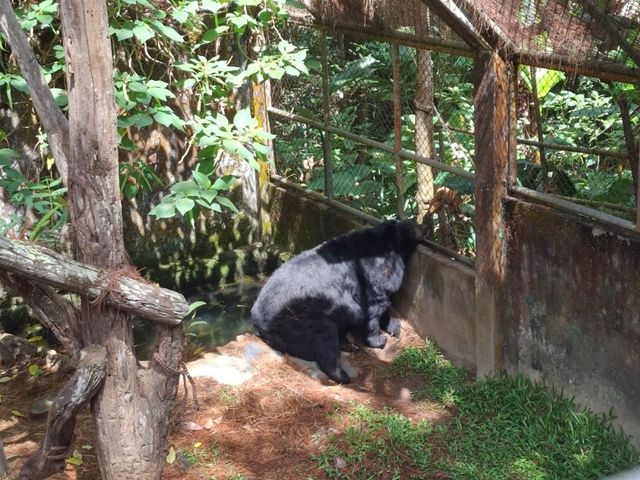 ไปขึ้นเขา ที่อุนทยานตากสินมหานาร