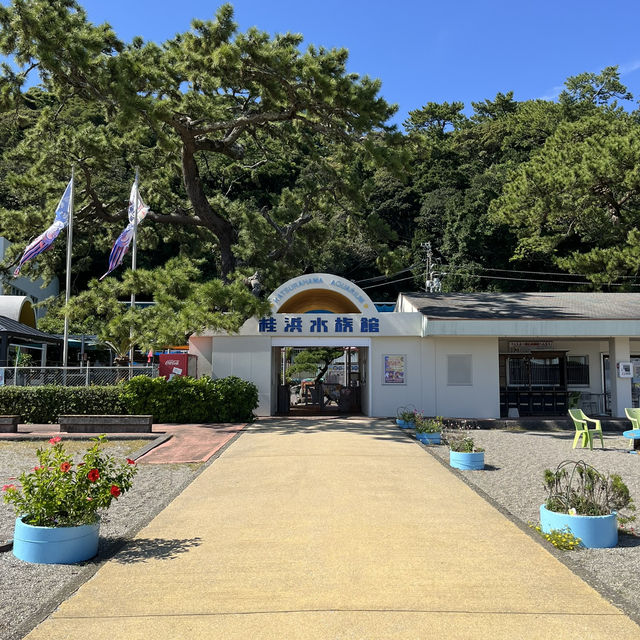 【高知】桂浜の魅力スポットをご紹介🌊