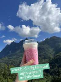 มัดรวมคาเฟ่เชียงใหม่ 