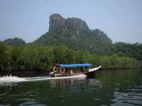 🌿🚤 Kilim River Cruise Review: A Mangrove Adventure in Langkawi!