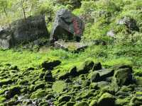 "Even the Rain Couldn’t Dim the Magic—Three Natural Bridges Felt Like Heaven!"**  