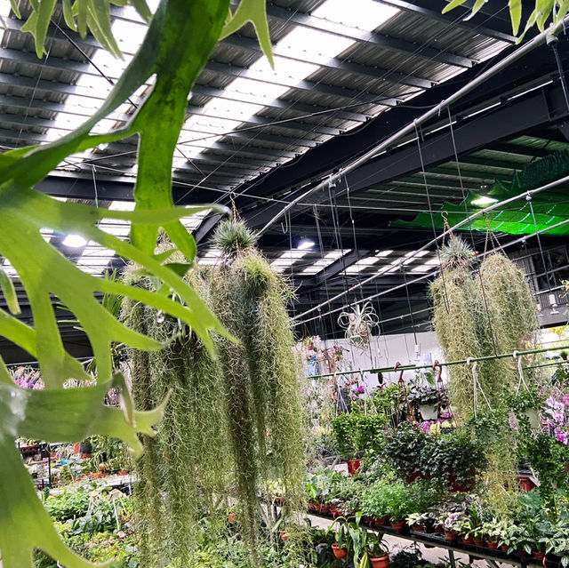 宜蘭秘境花市｜進花園・和旺園藝 IN GARDEN