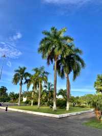 A Green Oasis of History and Community