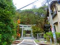 【鎌倉】鳥居の前を電車が横切る🚃御霊神社
