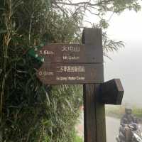 大屯山｜霧中漫步杜鵑花