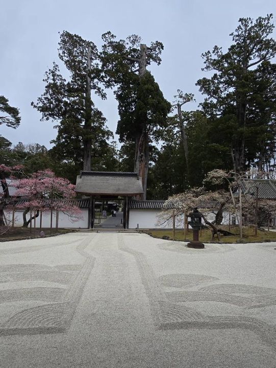瑞巖寺-來到日本三景松島絕對不能錯過的國寶