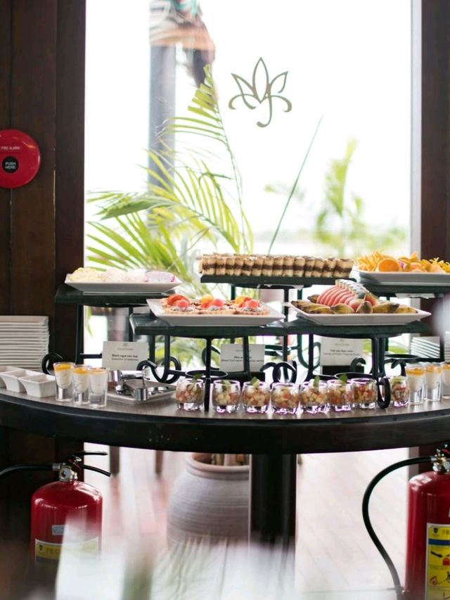 🛳️ Cruising Through Halong Bay with an Amazing Lunch Experience!