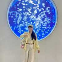 X Park Aquarium 