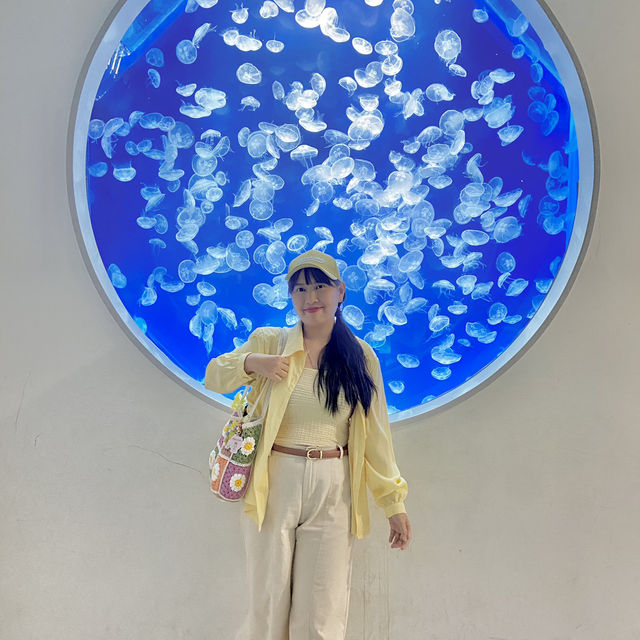 X Park Aquarium 