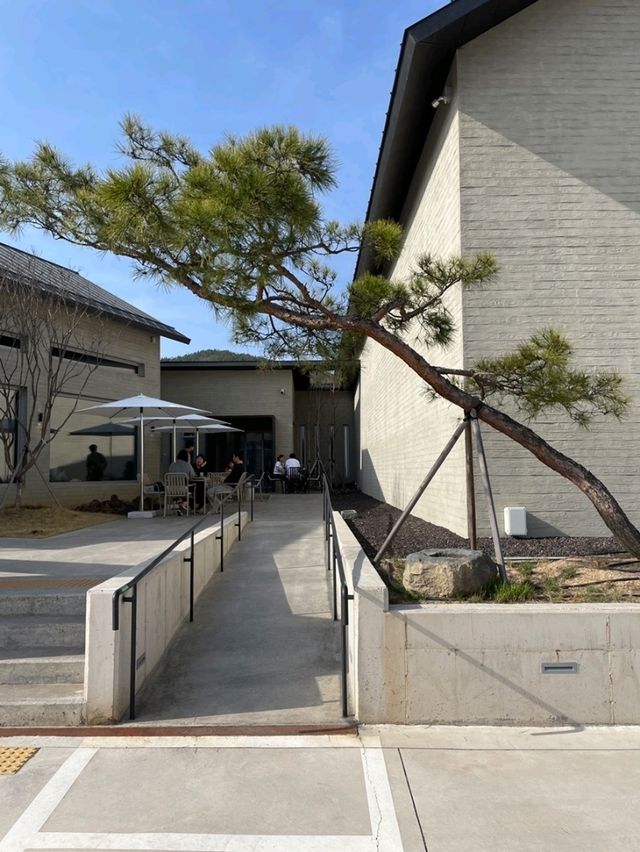 [🇰🇷清道]「ラペソギャラリーイソ」– 大邱近郊のギャラリーカフェで楽しむ美味しいソルギパンとコーヒー