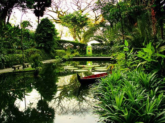 🌿 Spice Up Your Life: A Wild & Whimsical Day at Tropical Spice Garden, Penang!  