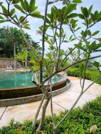 🌞 Serenity by the Sea: A Peaceful Getaway at Montigo Resort Batam 🌊