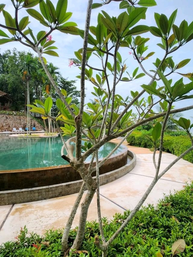 🌞 Serenity by the Sea: A Peaceful Getaway at Montigo Resort Batam 🌊