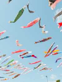 大空を泳ぐ、1000匹の鯉のぼり🎏🫧🩵