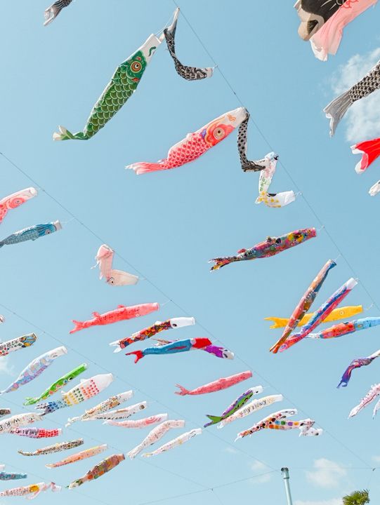 大空を泳ぐ、1000匹の鯉のぼり🎏🫧🩵