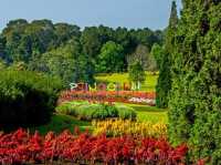🌿 Pyin Oo Lwin Perfection: Flowers, Horse Carts & the Best Coffee in Myanmar ☕  
