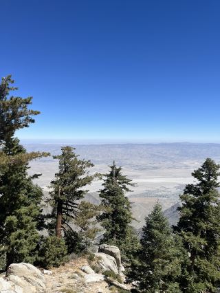 加州旅遊推薦：Mount San Jacinto State Park 一日遊路線＆交通攻略