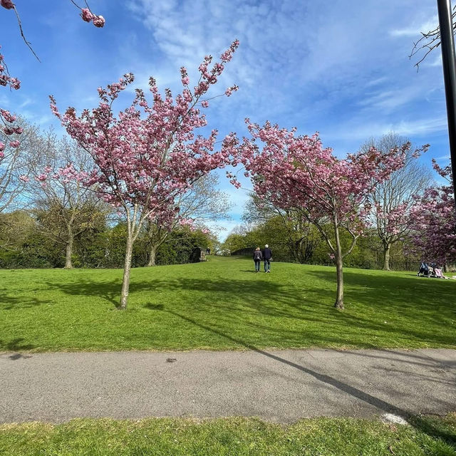 Springtime Magic on The Stray, Harrogate