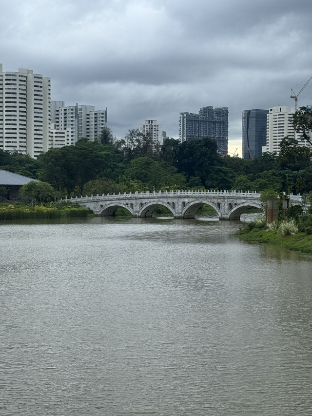 Leisurely walk in Chinese Garden