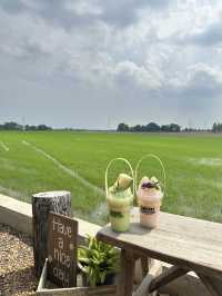 พาเที่ยวคาเฟ่ริมทุ่งนาเขียวขจีใน อ.เสนา อยุธยา