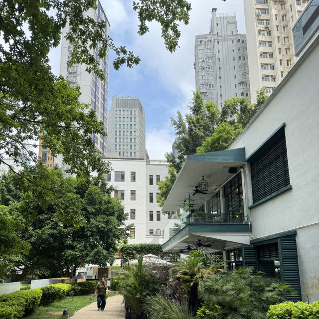 【香港】 中環鬧市的寧靜品茶靜土