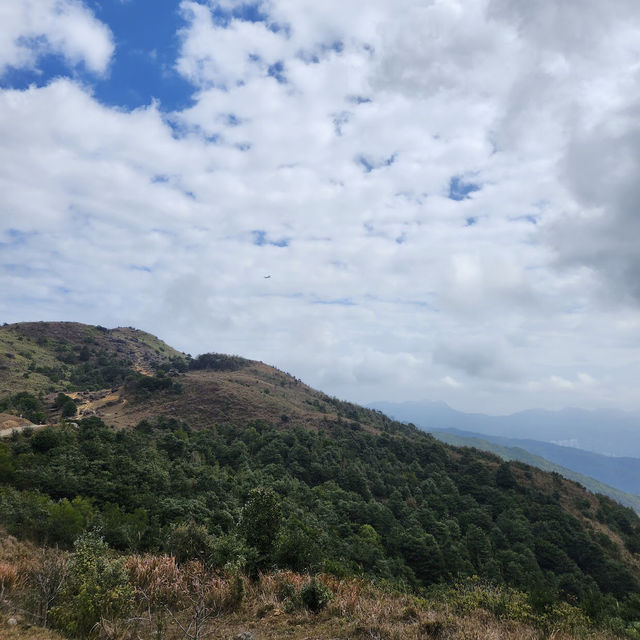 大帽山 (Tai Mo Shan)