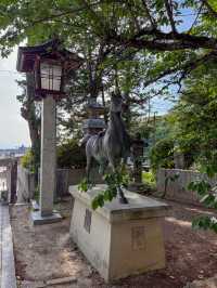 【福津】嵐のCMでも有名！絶景の神社