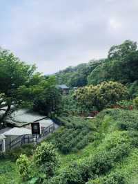 好好行的一個小山