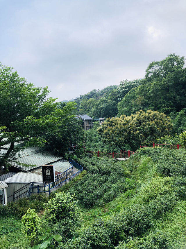 好好行的一個小山