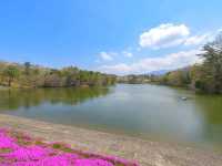 Sanuki Manno Park Is a Hidden Gem