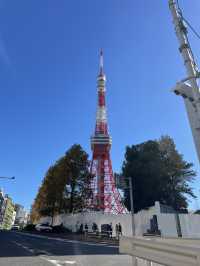 東京観光ぎゅっと詰め込み1day
