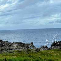 意外と知られていない！沖永良部島の魅力発見👀
