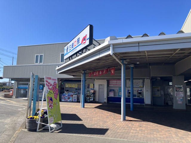 三浦海岸の河津櫻