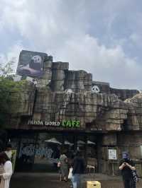 🇰🇷韓國必去愛寶樂園🐼把握近期旅展買一送一