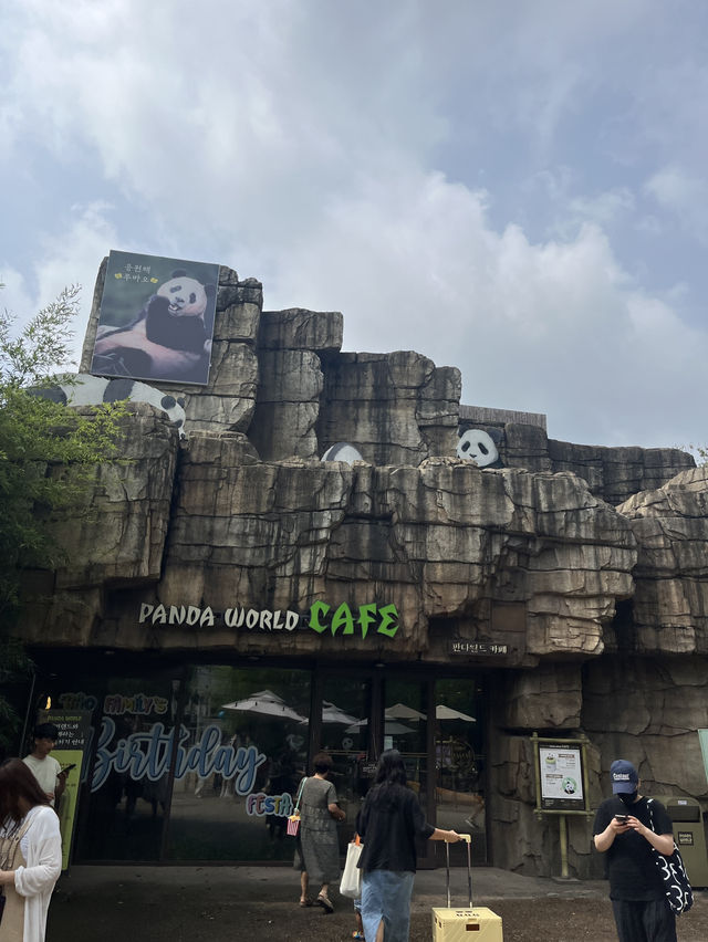 🇰🇷韓國必去愛寶樂園🐼把握近期旅展買一送一