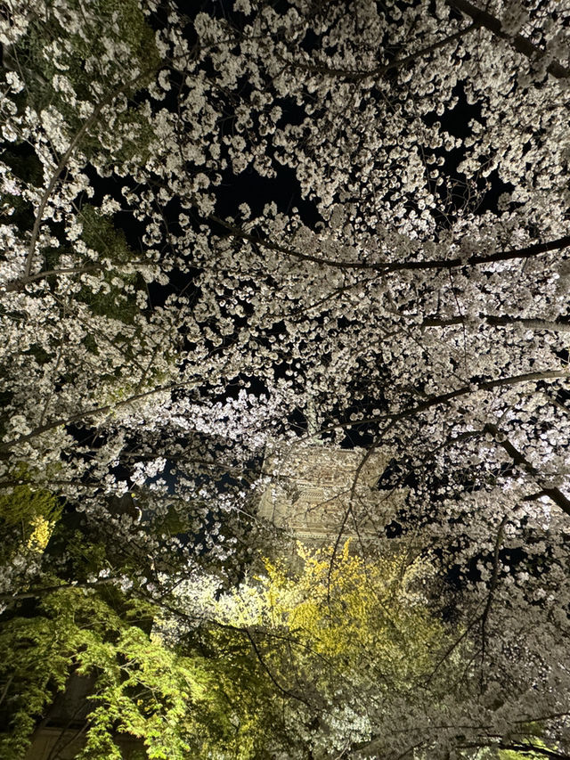 大阪｜交通攻略｜京都經典旅遊路線
