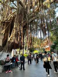 1 วันเที่ยวเกาะ Gulangyu ใน Xiamen