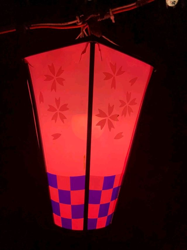 夜櫻下的小倉城，一場靜謐的心靈散步。