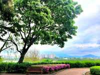 Title: Seonyudo & Yanghwa Hangang Park: Seoul’s Riverside Eco-Cultural Duo