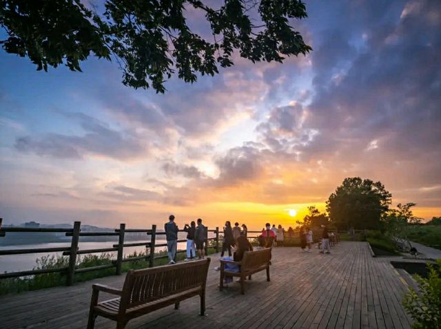 Haneul Park: Seoul’s Eco Escape with Skyline Views