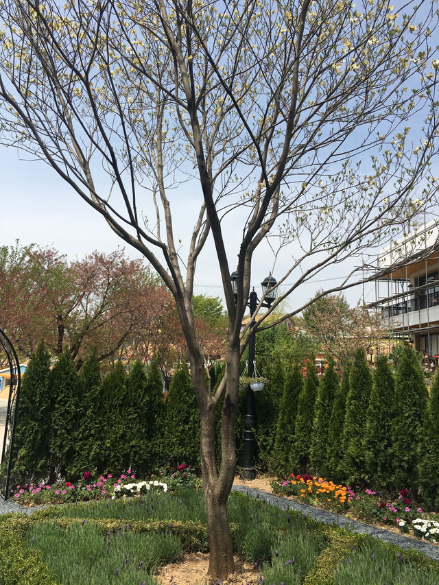파주 프로방스마을 즐기기