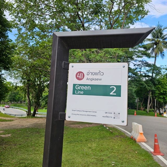 ที่เที่ยวยอดฮิต ใน มช. - อ่างแก้ว มช.