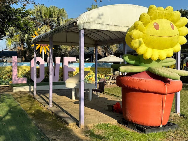 桃園·向陽農場的向日葵盛景🌻