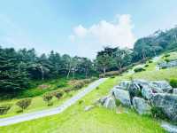 Seongnae Reservoir: Nature’s Mirror