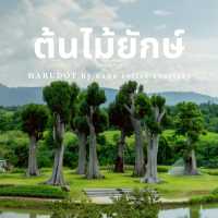 เที่ยวเขาใหญ่ ดูต้นไม้ยักษ์ อายุ 100+ ปี 